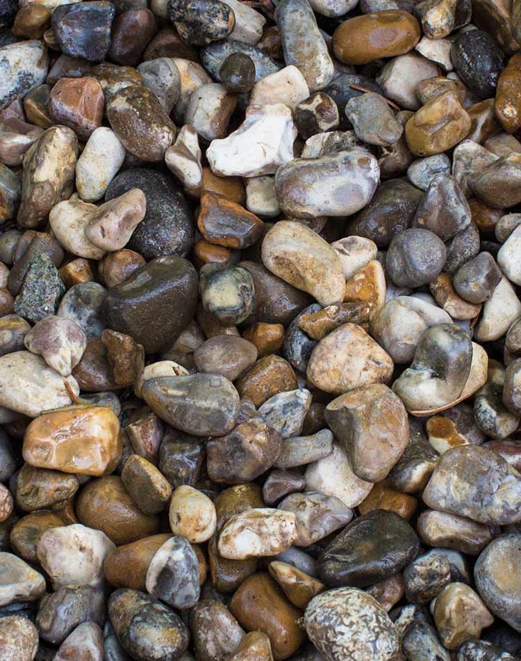 Oyster Gravel